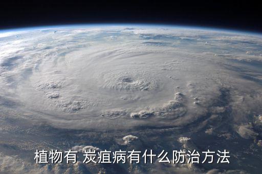 植物炭疽病打什么農藥,炭疽病用什么農藥最好好