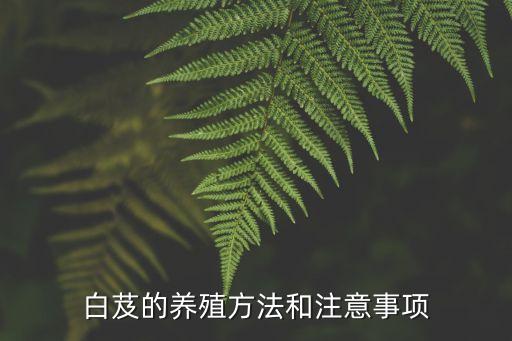 白芨需要什么農藥預防,白芨發病用什么農藥
