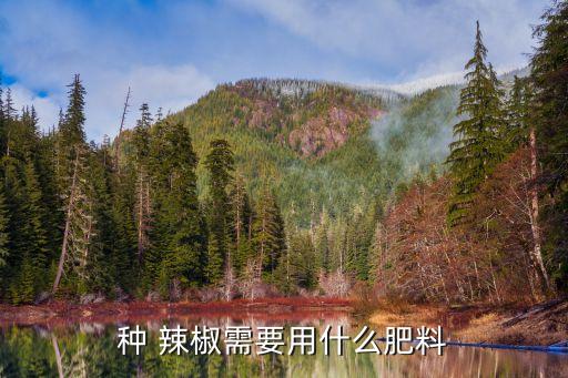 種 辣椒需要用什么肥料