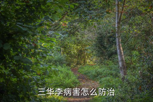 殺蟲王是什么農藥,有機磷農藥的殺蟲機理是什么