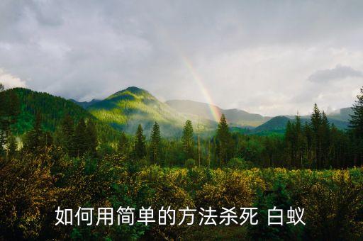 如何用簡單的方法殺死 白蟻