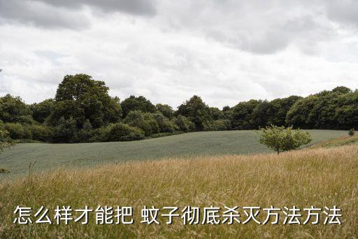 怎么樣才能把 蚊子徹底殺滅方法方法