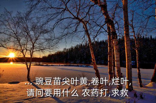 菜豌豆早期噴什么農藥