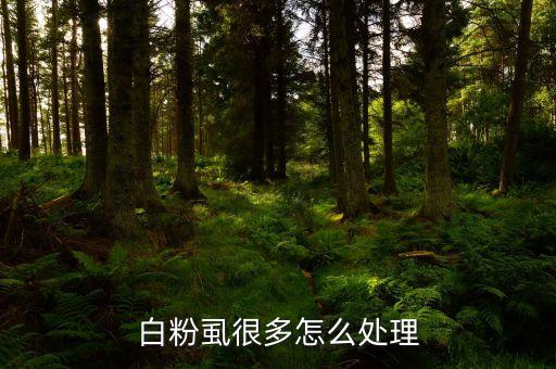 殺粉虱用什么農藥,什么農藥殺老鼠效果最好