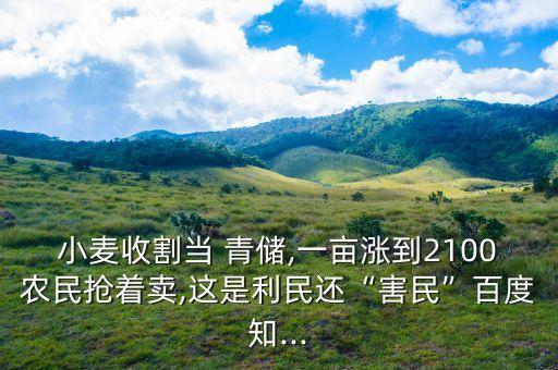 青儲為什么要噴農藥,為什么禁止青儲