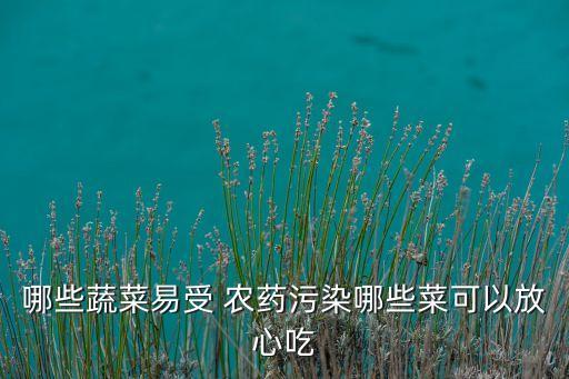 哪些蔬菜易受 農藥污染哪些菜可以放心吃