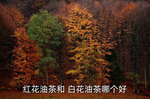 白花打什么農(nóng)藥,打農(nóng)藥一般什么時間打比較好
