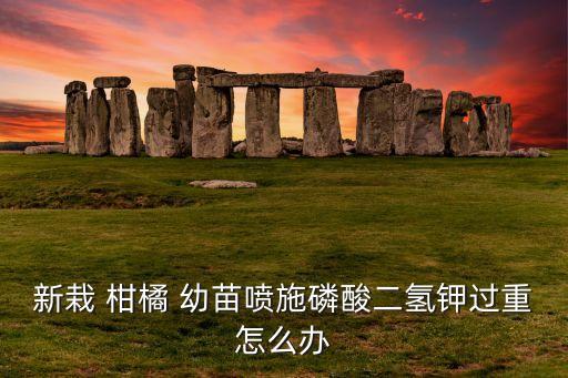 柑橘幼苗打什么農藥好呢,柑橘花期用什么農藥