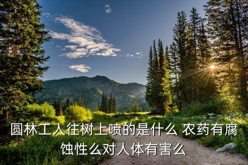 給路邊樹打的農藥是什么,路邊打的農藥對人有害嗎