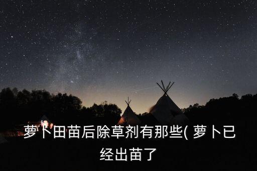  蘿卜田苗后除草劑有那些( 蘿卜已經出苗了