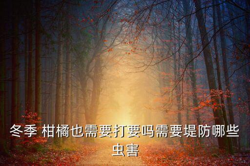 冬季 柑橘也需要打要嗎需要堤防哪些蟲害