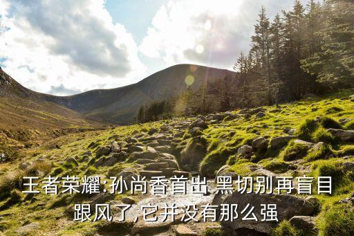 王者榮耀:孫尚香首出 黑切別再盲目跟風了,它并沒有那么強