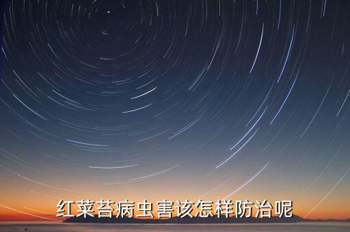 紅菜苔病蟲害該怎樣防治呢