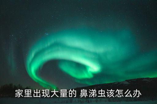 家里出現(xiàn)大量的 鼻涕蟲該怎么辦