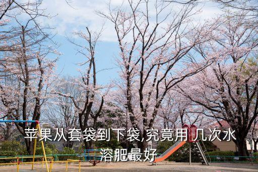  蘋果從套袋到下袋,究竟用 幾次水溶肥最好