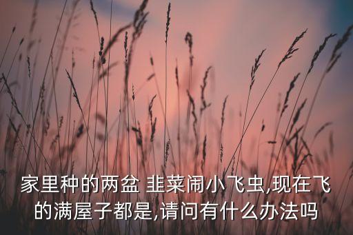 韭菜用什么農藥殺死蟲子,韭菜生什么蟲子圖片