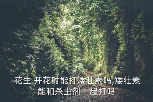  花生 開花時(shí)能打矮壯素嗎,矮壯素能和殺蟲劑一起打嗎