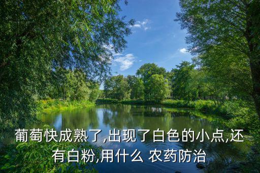 葡萄快成熟了,出現了白色的小點,還有白粉,用什么 農藥防治