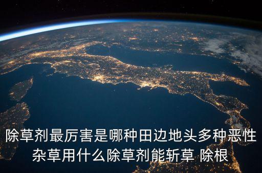 什么農藥能除根,竹子除根最好的農藥