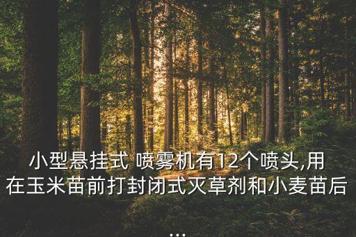 小型懸掛式 噴霧機(jī)有12個噴頭,用在玉米苗前打封閉式滅草劑和小麥苗后...