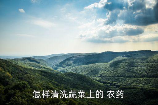怎樣清洗蔬菜上的 農藥