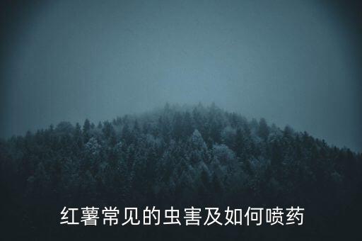 紅薯像蟲打什么農藥,紅薯會不會打農藥
