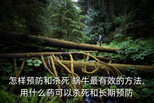 怎樣預(yù)防和殺死 蝸牛最有效的方法,用什么藥可以殺死和長(zhǎng)期預(yù)防