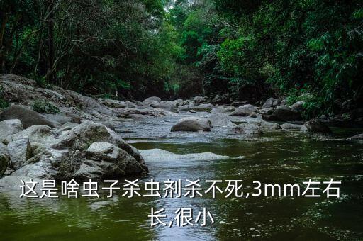 農藥殺不死的蟲是什么,多蟲螨丁是什么農藥