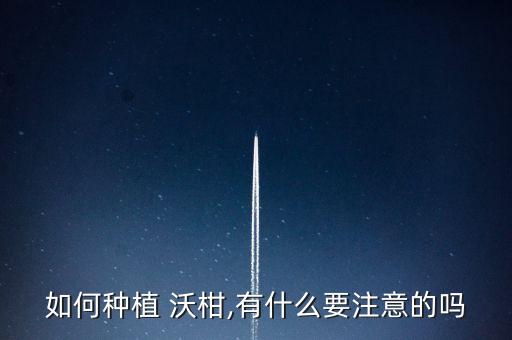 如何種植 沃柑,有什么要注意的嗎