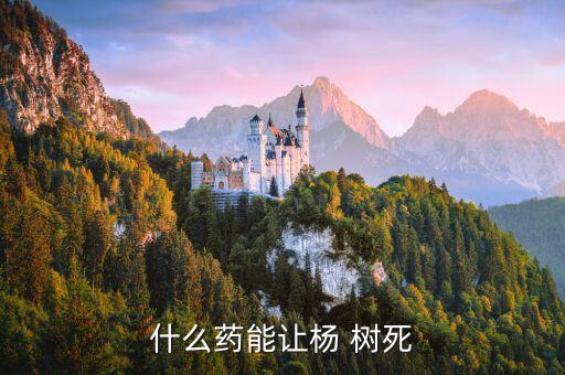 什么藥能讓楊 樹死