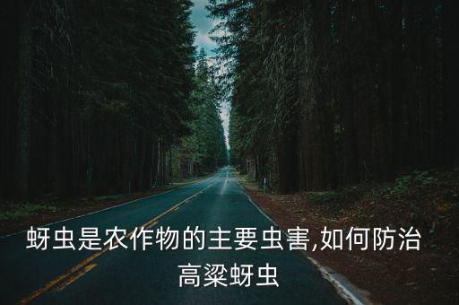 種高粱打什么農藥防蟲,種什么不需要打農藥