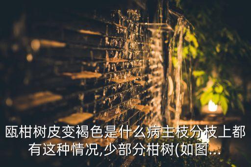 世高農藥治什么病圖片,世高殺菌劑治什么病