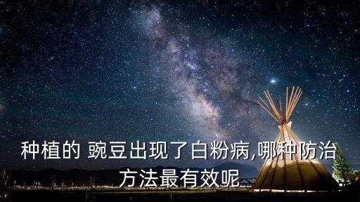 種植的 豌豆出現(xiàn)了白粉病,哪種防治方法最有效呢