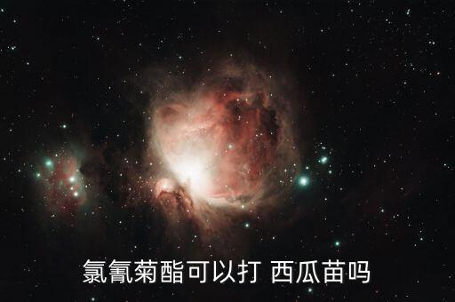 西瓜要打什么農藥,西瓜打什么農藥出根壯苗