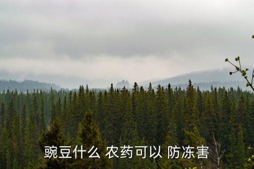 豌豆什么 農(nóng)藥可以 防凍害