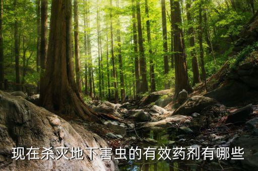 什么農(nóng)藥殺尺蠖卵,尺蠖的卵長什么樣