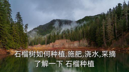  石榴樹如何種植,施肥,澆水,采摘了解一下 石榴種植