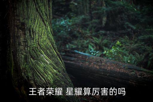  王者榮耀 星耀算厲害的嗎
