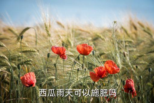 西瓜用什么農(nóng)藥殺蟲(chóng),西瓜雨后噴什么農(nóng)藥好