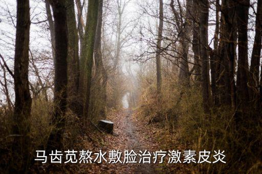 馬齒莧熬水敷臉治療激素皮炎