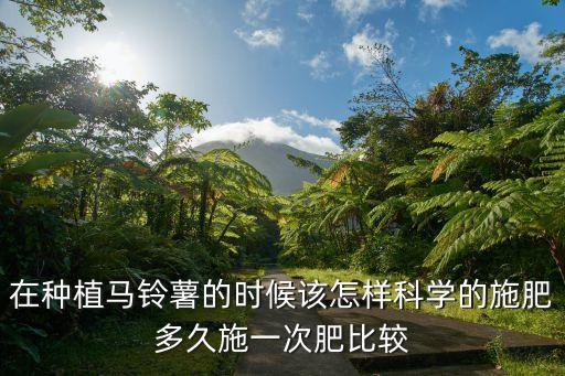 在種植馬鈴薯的時候該怎樣科學(xué)的施肥多久施一次肥比較