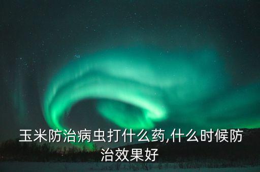  玉米防治病蟲打什么藥,什么時候防治效果好