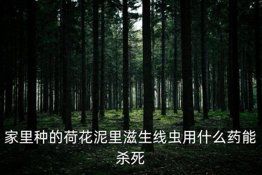 殺絲蟲是什么農藥,牛有肺絲蟲是什么癥狀