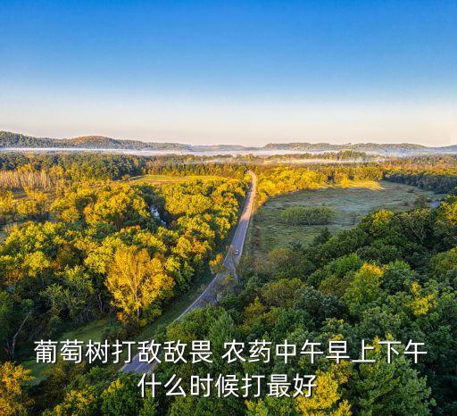 葡萄要噴什么農藥,葡萄會噴農藥嗎