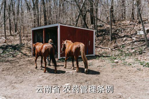 為什么農(nóng)藥不能經(jīng)營,網(wǎng)上農(nóng)藥為什么便宜