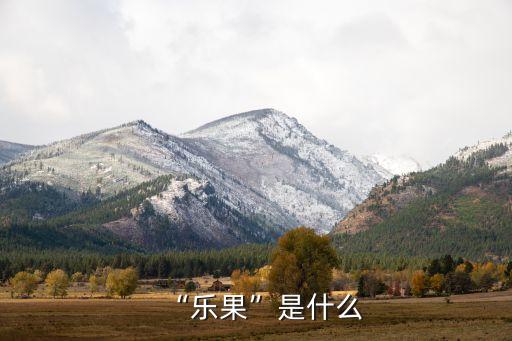 “樂果”是什么