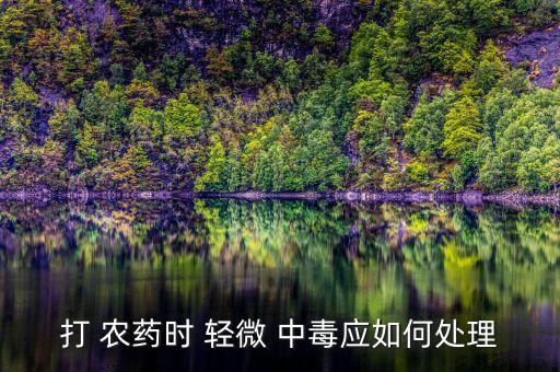 打 農(nóng)藥時(shí) 輕微 中毒應(yīng)如何處理