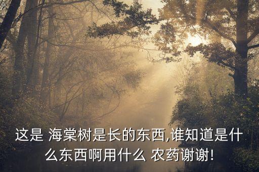 這是 海棠樹是長的東西,誰知道是什么東西啊用什么 農藥謝謝!
