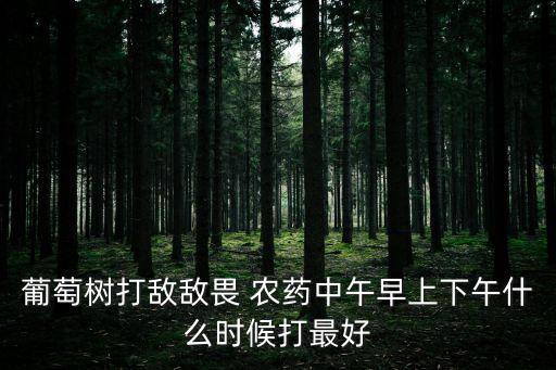 葡萄樹打敵敵畏 農藥中午早上下午什么時候打最好