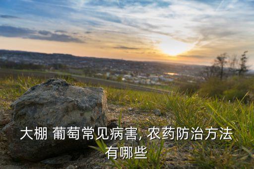 葡萄樹要用什么農(nóng)藥殺菌,什么農(nóng)藥能殺死葡萄樹